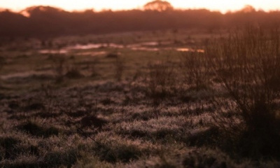 portal plural cinco municípios do rs registram temperatura negativa no amanhecer desta terça feira