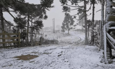 portal plural rs pode ter três dias consecutivos com neve, afirma metsul