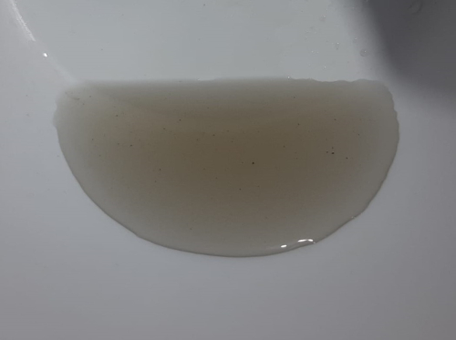 04 09 2024 190153 1725487313.53