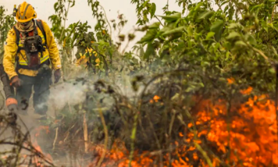 portal plural brasil já registrou mais de 154 mil focos de calor este ano