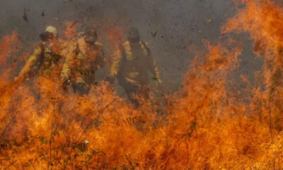 portal plural brasil pode perder o pantanal até o fim do século, diz ministra marina silva