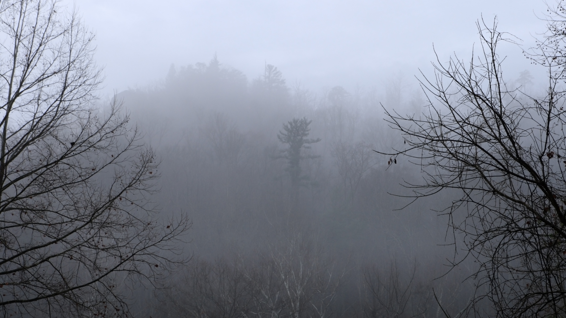 portal plural calor, frio e volta da fumaça rio grande do sul enfrentará contrastes climáticos nos próximos dias