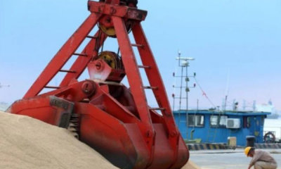 portal plural china bate recorde de 12,1 milhões de toneladas de soja compradas em agosto