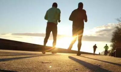 portal plural colesterol alto está a doenças do coração