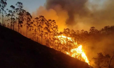 portal plural com desastres naturais e incêndios, governo gasta r$ 40 bilhões fora da meta
