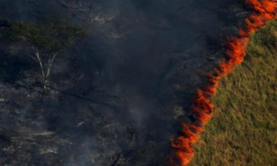portal plural como a seca pode afetar sua saúde mental