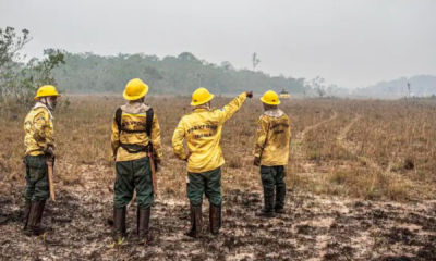 portal plural dino estabelece orçamento emergencial para combate a incêndios