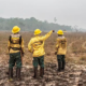 portal plural dino estabelece orçamento emergencial para combate a incêndios