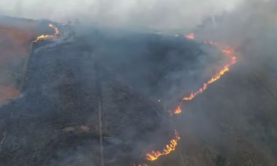 portal plural especialistas alertam preço dos alimentos pode aumentar devido à seca e queimadas