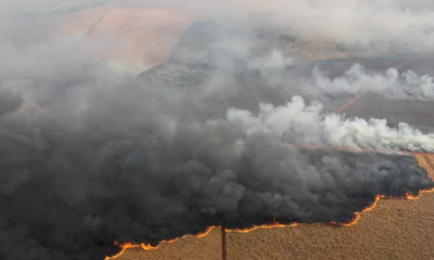 portal plural fumaça das queimadas da amazônia chega ao sul do brasil nesta terça feira (3)