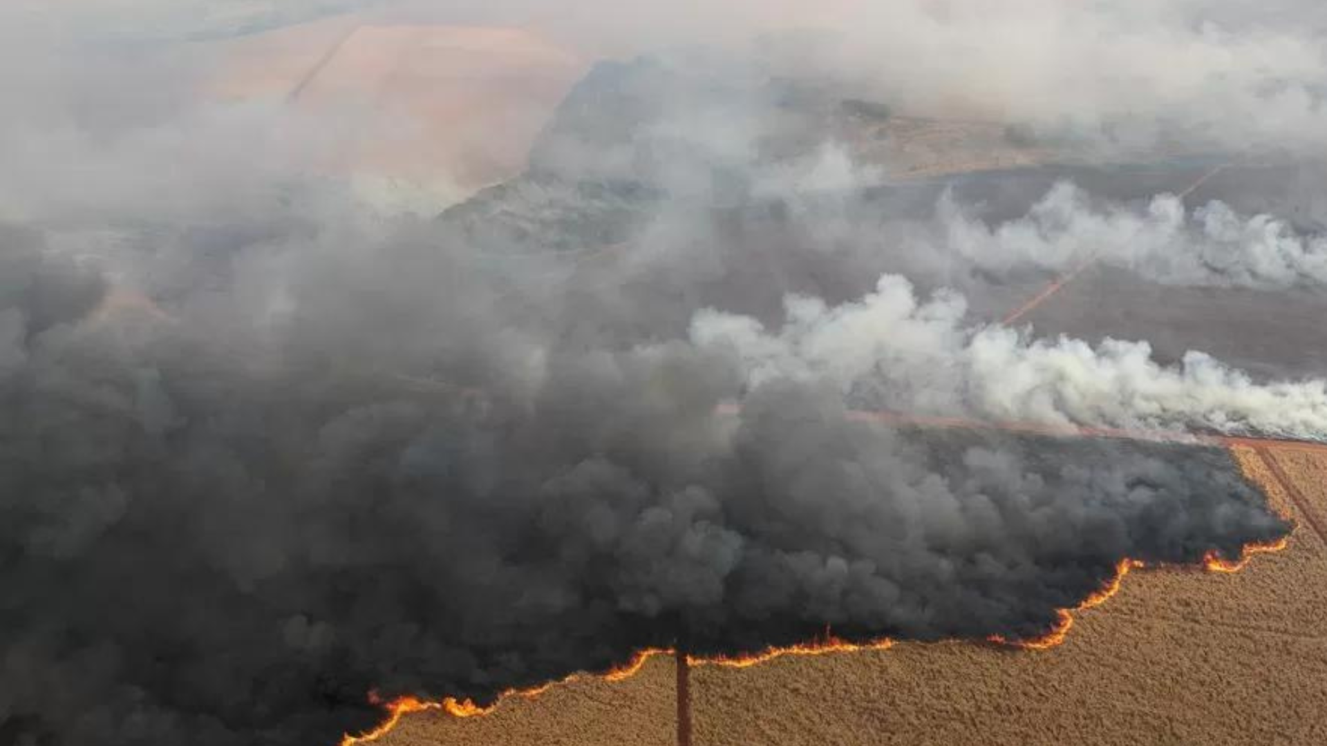 portal plural fumaça das queimadas da amazônia chega ao sul do brasil nesta terça feira (3)