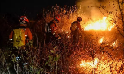 portal plural governo lula destina r$ 514 milhões para combate às queimadas no país