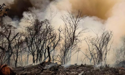 portal plural governo lula foi alertado de risco de incêndios desde fevereiro