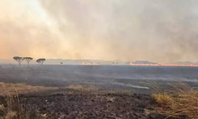 portal plural incêndio destrói área equivalente a 10 mil campos de futebol na chapada dos veadeiros
