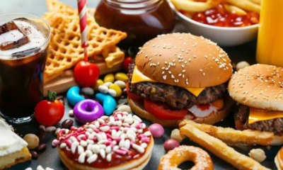 portal plural indústria do vício como os ultraprocessados sequestram nossos cérebros