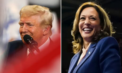 portal plural kamala harris tem 60% das intenções de voto entre eleitores da geração z, diz pesquisa