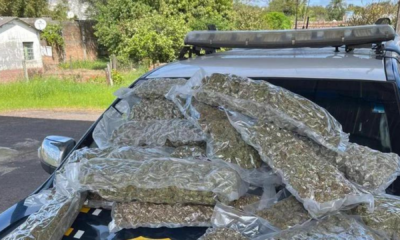 portal plural mulher é presa com quase 10 quilos de skunk em rosário do sul