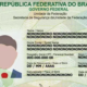portal plural novo rg cerca de 11,5 milhões de brasileiros já providenciaram o documento