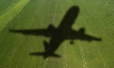 portal plural “o brasil pode se tornar a arábia saudita do saf”, diz erasmo battistella, ceo da be8