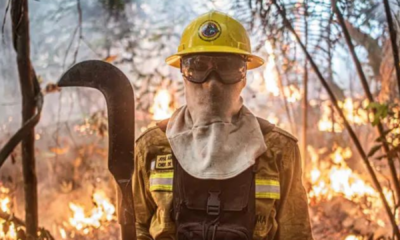 portal plural o drama dos brigadistas na maior temporada de fogo em 14 anos 'nossa vida não vale nada'