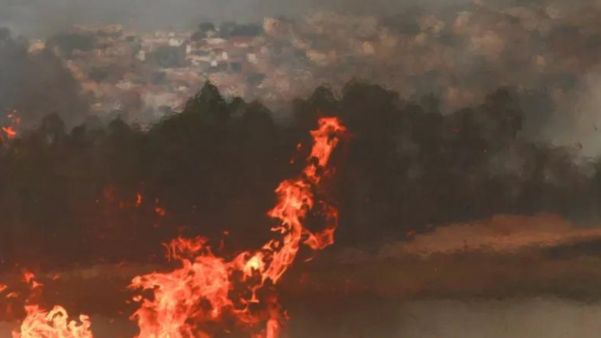 portal plural prejuízos de municípios com queimadas aumentam 33 vezes em 2024