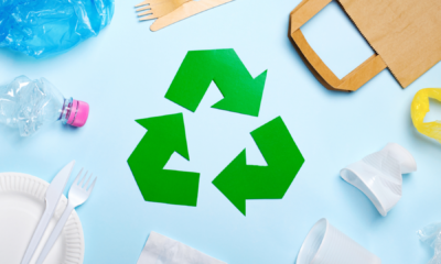 portal plural quase 90% das empresas com mais de 100 funcionários adotaram práticas ambientais em 2023