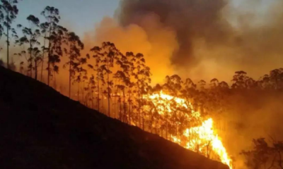 portal plural todas as regiões do brasil têm risco “perigosíssimo” de incêndios, alerta o instituto nacional de meteorologia