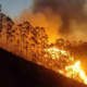portal plural todas as regiões do brasil têm risco “perigosíssimo” de incêndios, alerta o instituto nacional de meteorologia