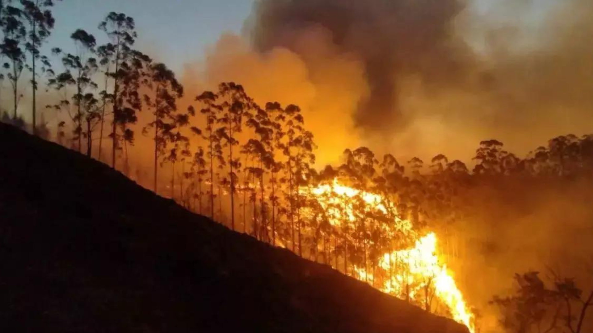 portal plural todas as regiões do brasil têm risco “perigosíssimo” de incêndios, alerta o instituto nacional de meteorologia