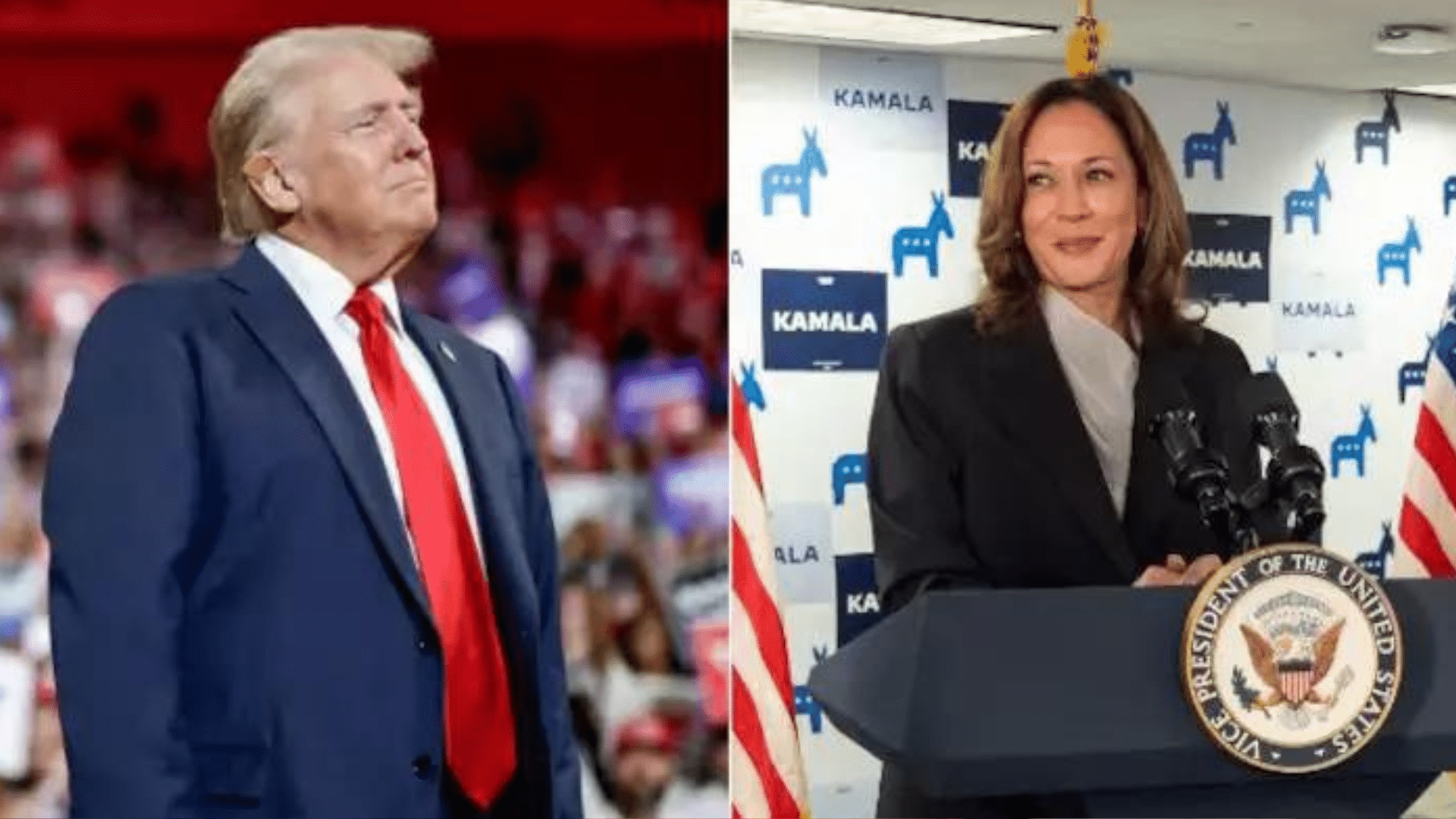 portal plural trump afirma que não participará de outro debate presidencial contra kamala