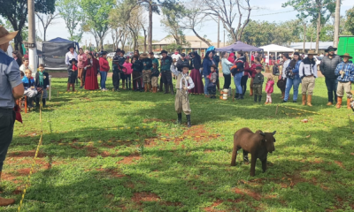 portal plural domingueira farroupilha em santa rosa reúne grande público e reforça planos para acampamento em 2025