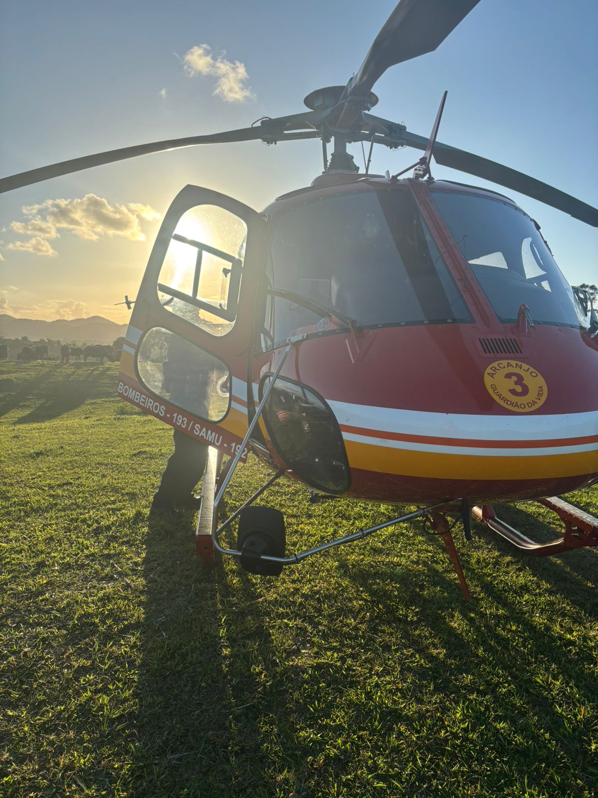 cotidiano idoso fica em estado grave apos ser atropelado por cavalo em sc 2 170