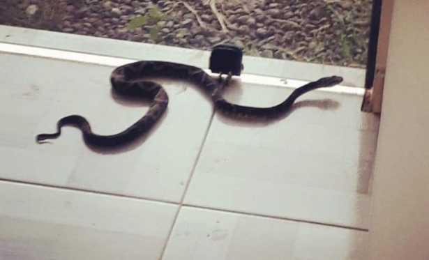 01 portalaconteceu 905fb19460815e39a9bd