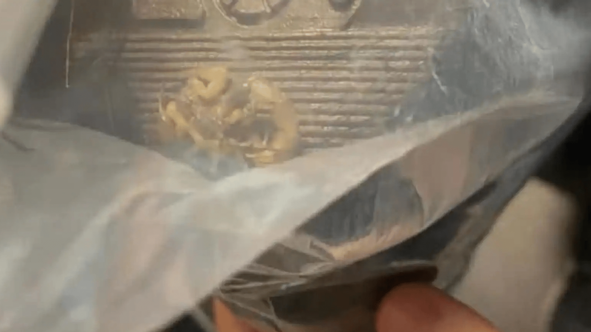 portal plural a panturrilha é conhecida há muito tempo como nosso “segundo coração”. esse apelido se deve ao seu papel fundamental na circulação sanguínea, e manter os músculos dessa região fo (1)