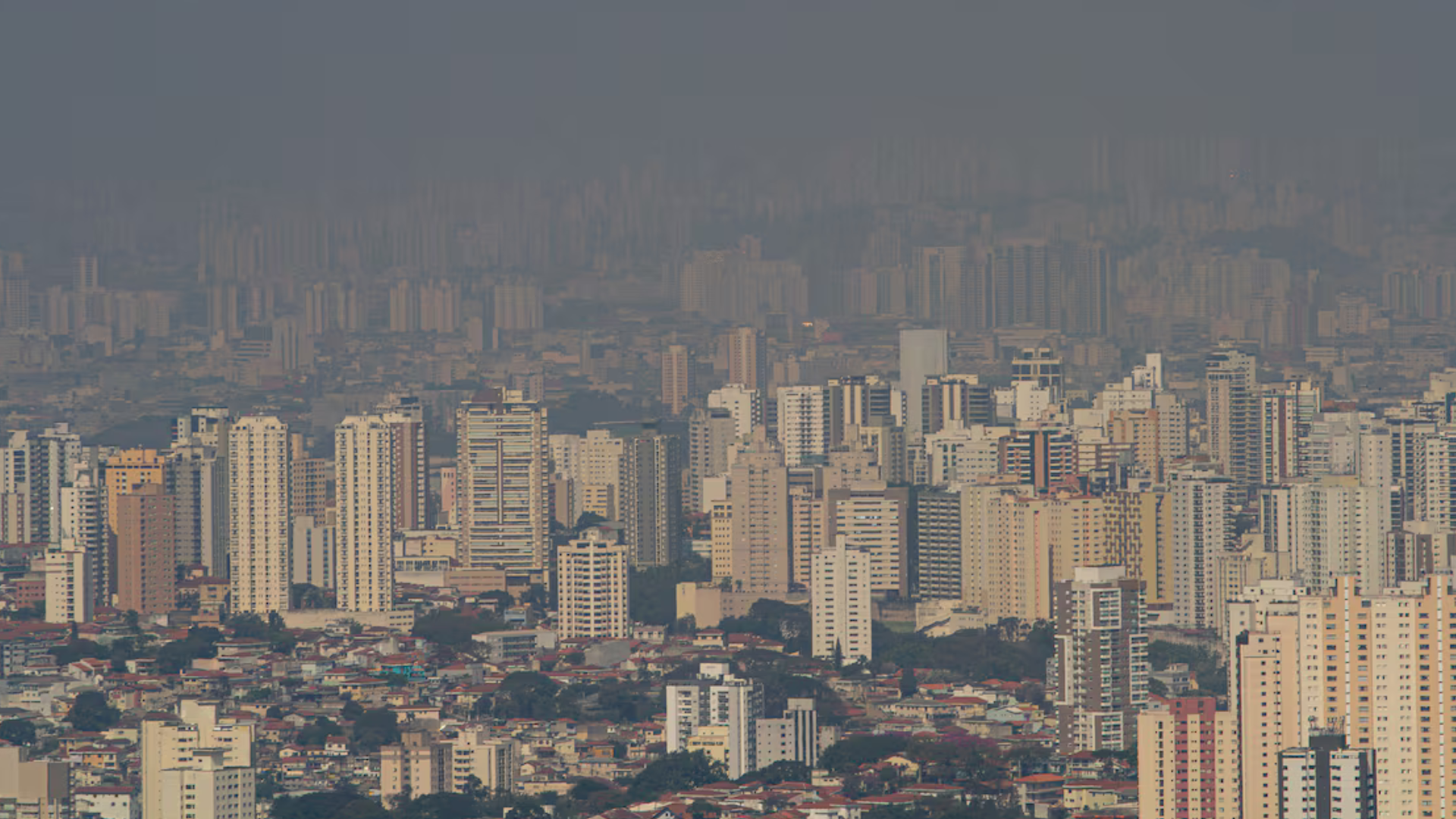 portal plural de doenças cardíacas a demência os impactos da poluição para além dos pulmões dá pistas