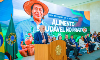 portal plural governo federal lança programa de r$ 1 bilhão para incentivar produção e aquisição de arroz