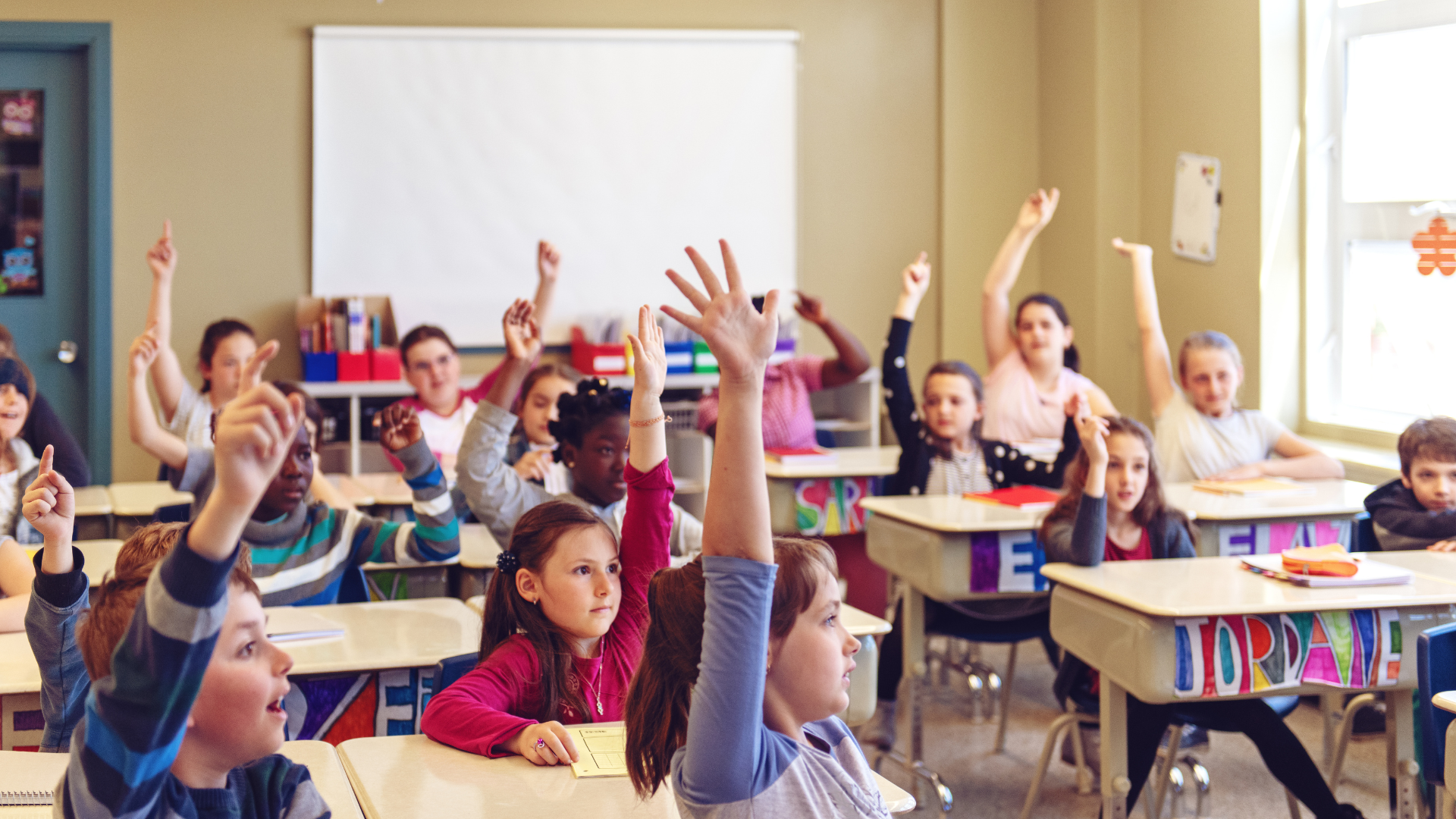 portal plural mec oferecerá 1,25 milhão de vagas em curso de formação para professores sobre educação inclusiva