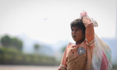 portal plural número de crianças e adolescentes em trabalho infantil cai 14,6% em um ano, revela ibge