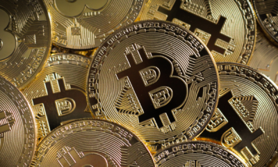 portal plural bitcoin atinge níveis recordes impulsionado por sinais de reeleição de donald trump