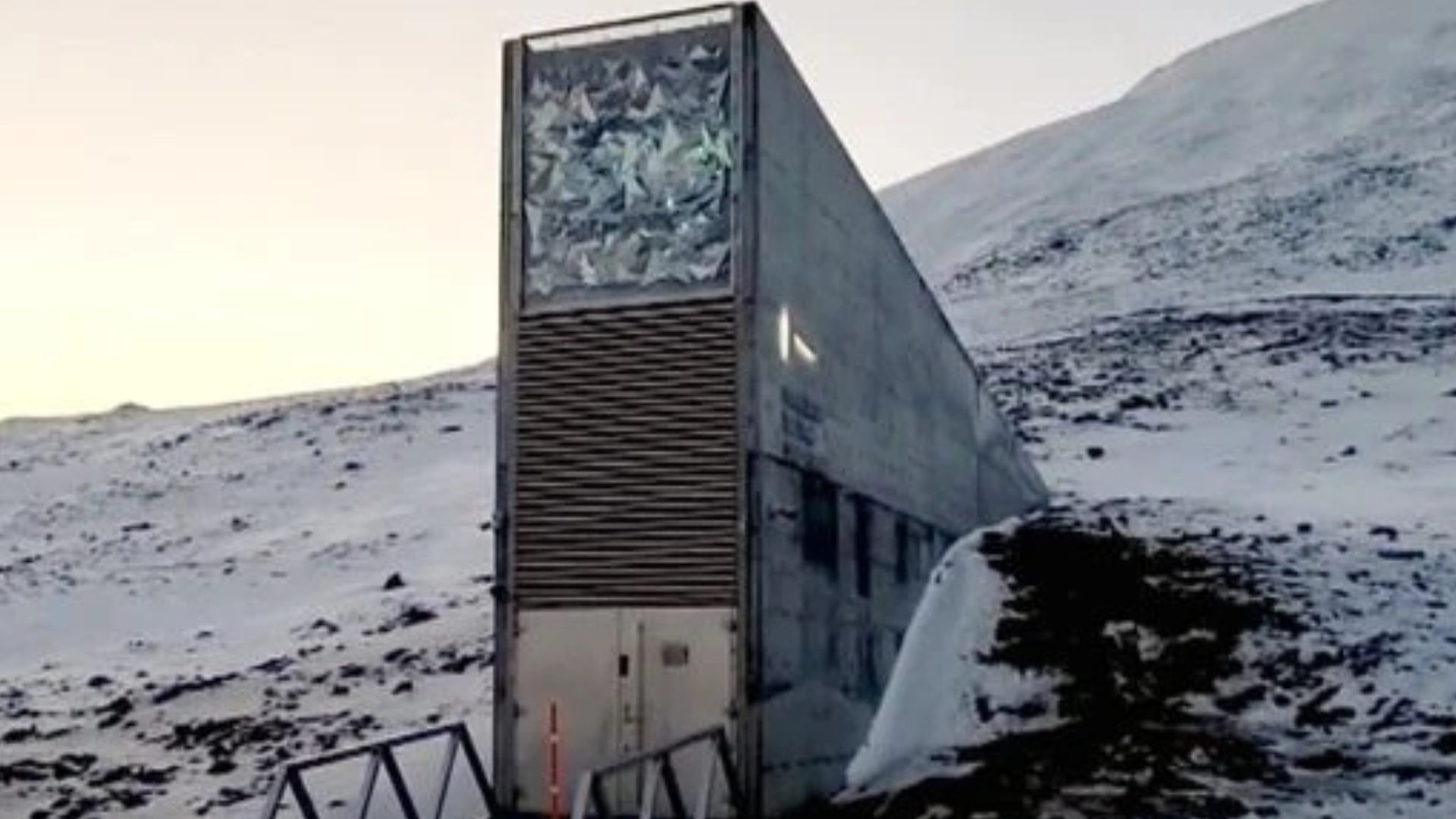 portal plural em outubro, mais de 30 mil sementes de diversas espécies, originárias de 21 países, chegaram a uma pequena ilha norueguesa, localizada no oceano glacial Ártico. este novo lote será a