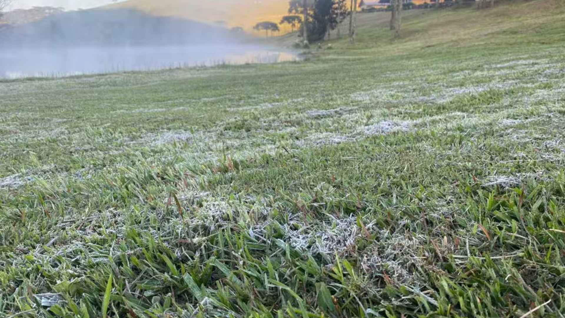 portal plural foto anapio pereiraarquivo pessoal