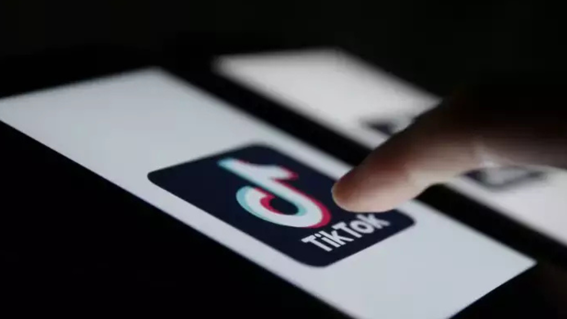 portal plural foto bloomberg