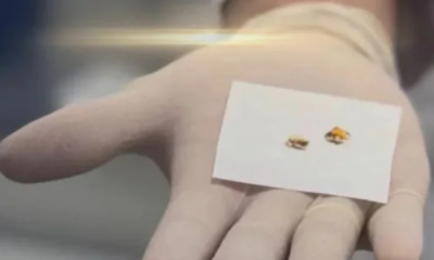 portal plural foto divulgaçãoigp