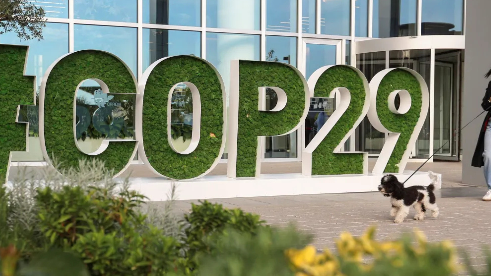 portal plural quase metade da humanidade está exposta a impactos climáticos extremos, diz onu