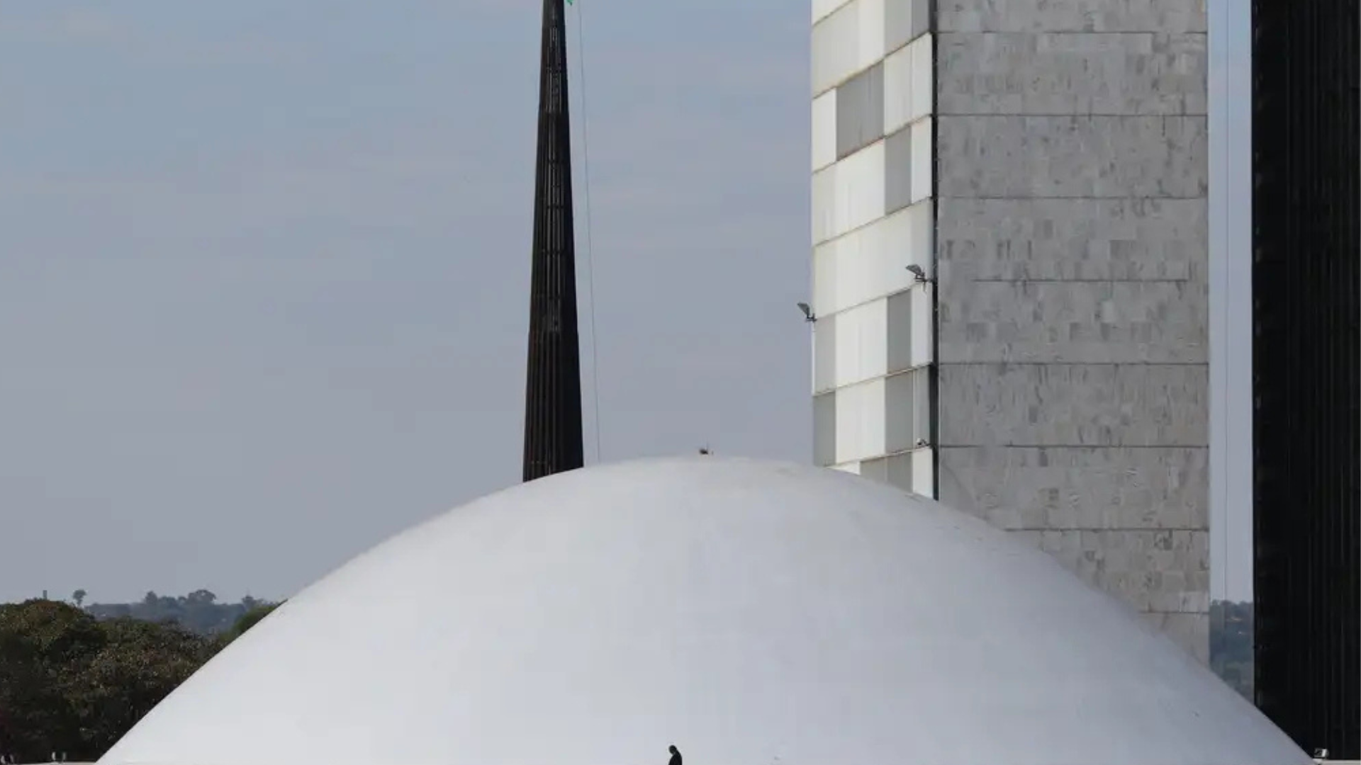 portal plural senado adia votação de projeto que protege criança em ambiente digital