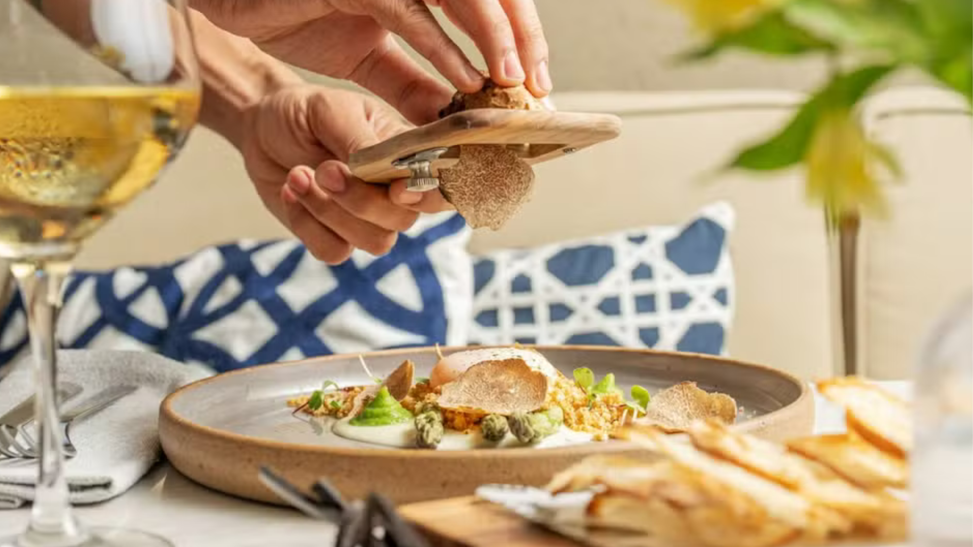 portal plural trufas por que esses fungos comestíveis, considerados 'diamantes da terra', são tão caros