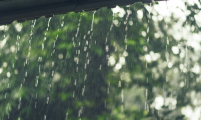 portal plural chuva retorna ao rs a partir desta sexta