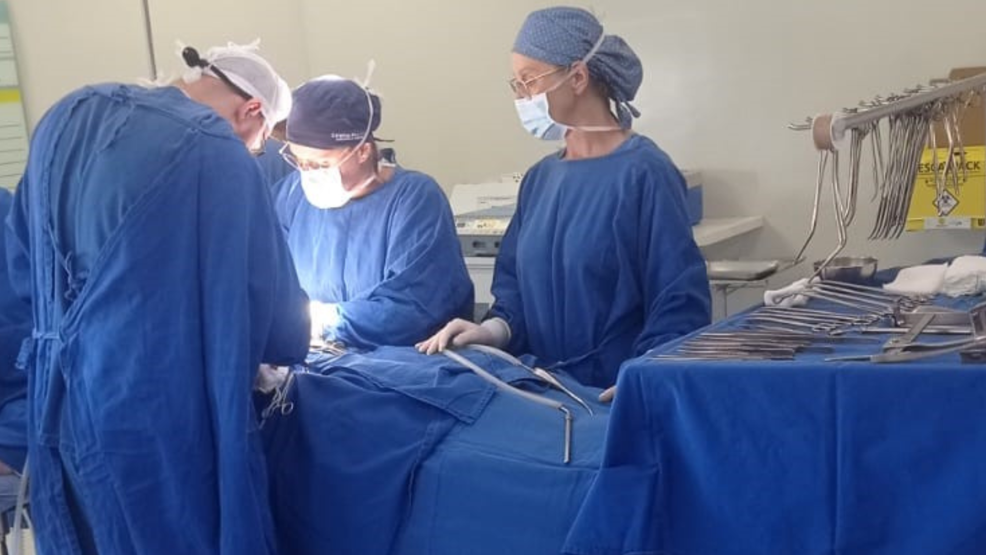 portal plural terceira captação de órgãos de 2024 é realizada no vida & saúde