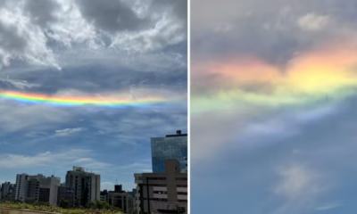 portal plural arco íris invertido