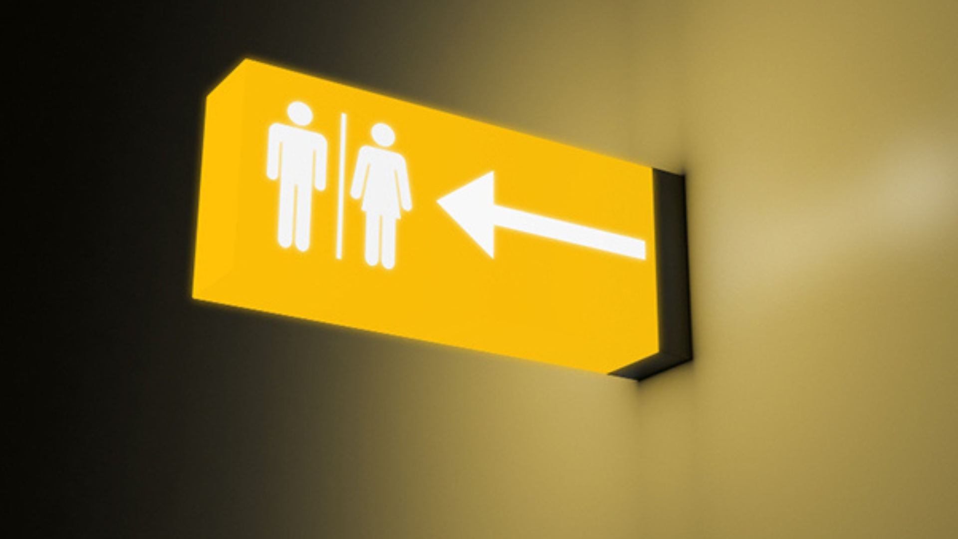 portal plural lei municipal que proíbe banheiros multigêneros é inconstitucional, decide tj sp